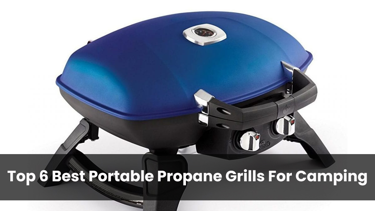 Top 6 Best Portable Propane Grills For Camping in 2020